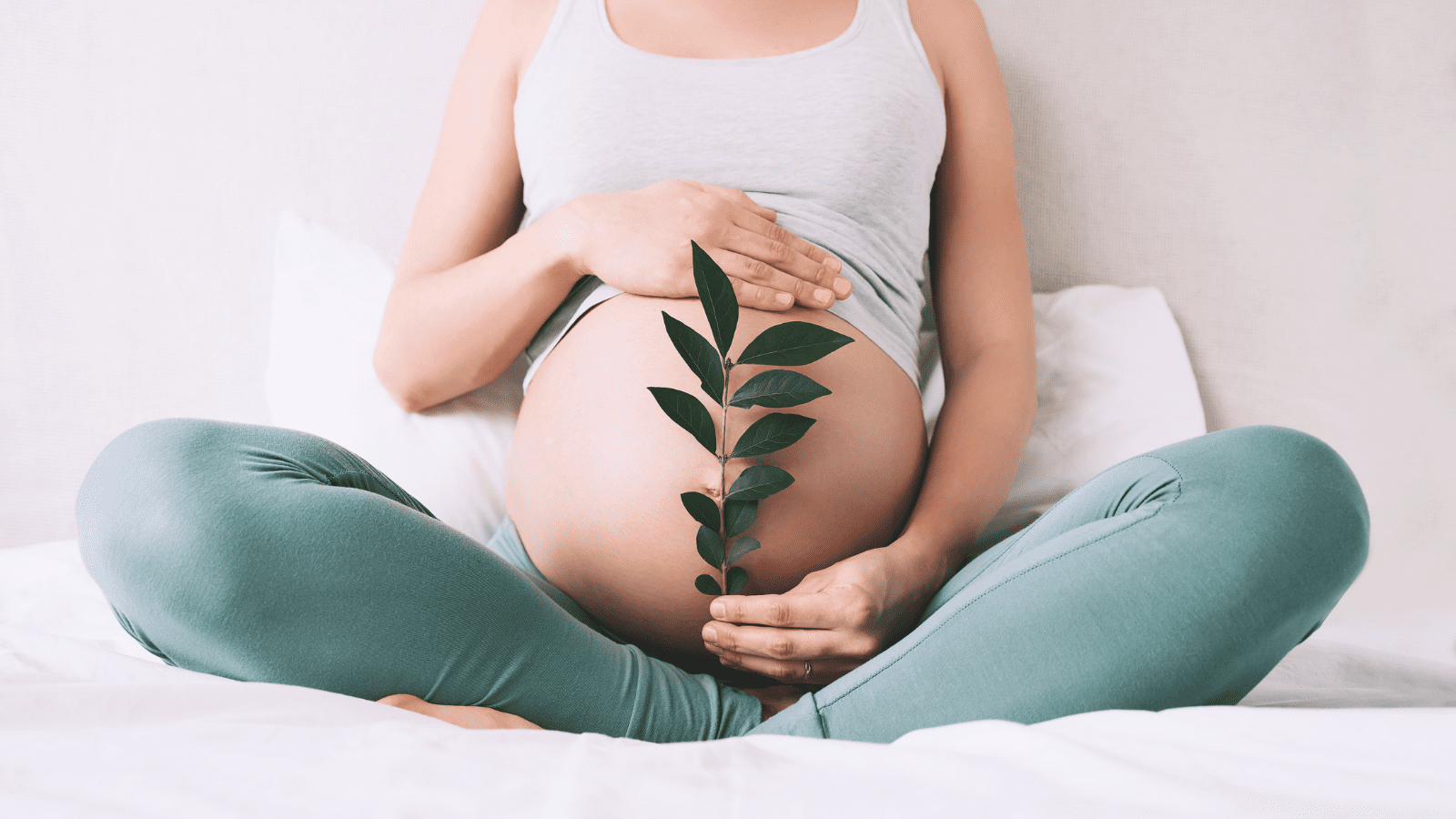 Reproductive Healthcare leafy branch in front of pregnant belly
