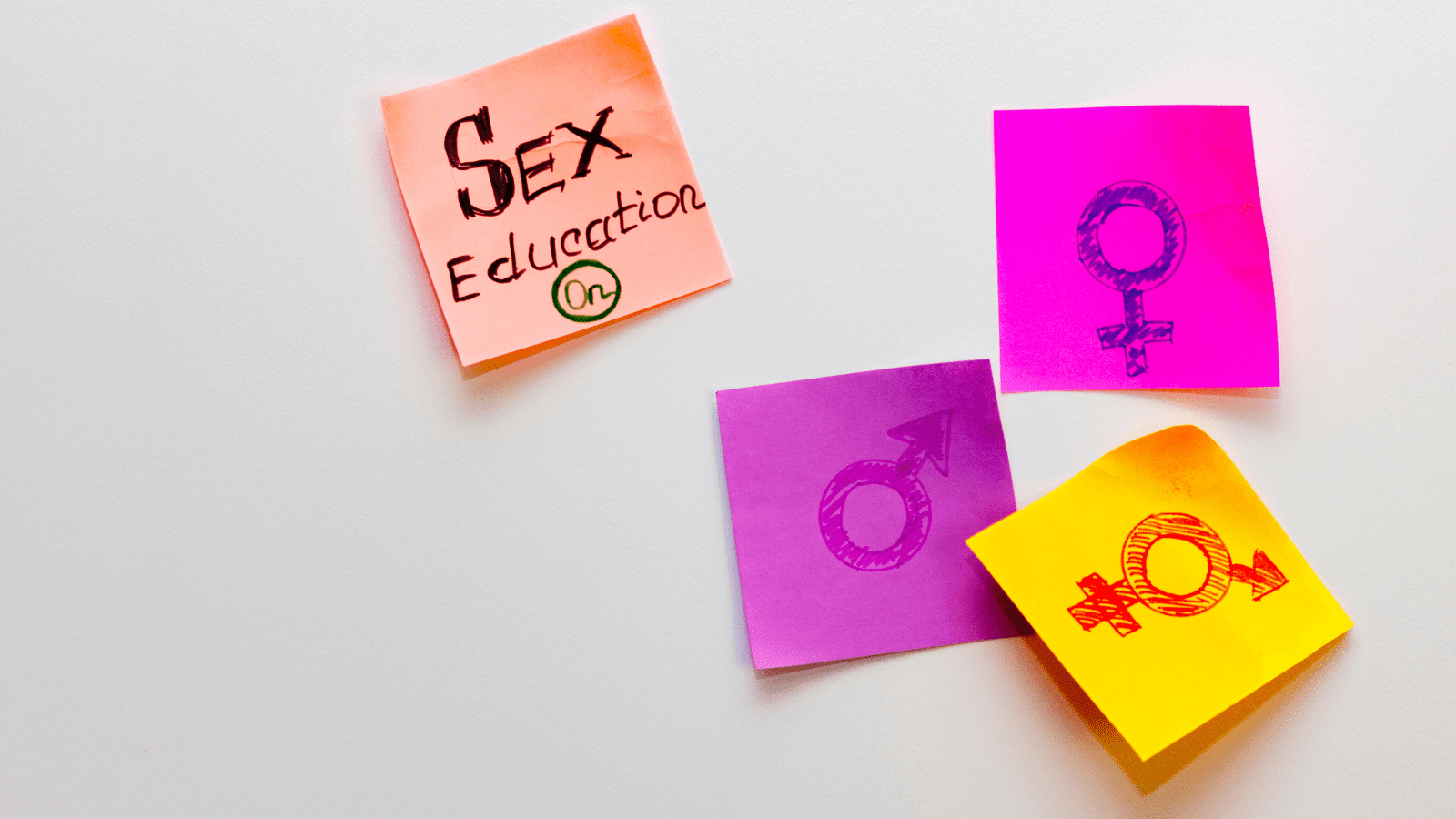 Sex Ed sex education