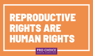 Repro Rights Human Rights 22 Repro Rights Human Rights 22