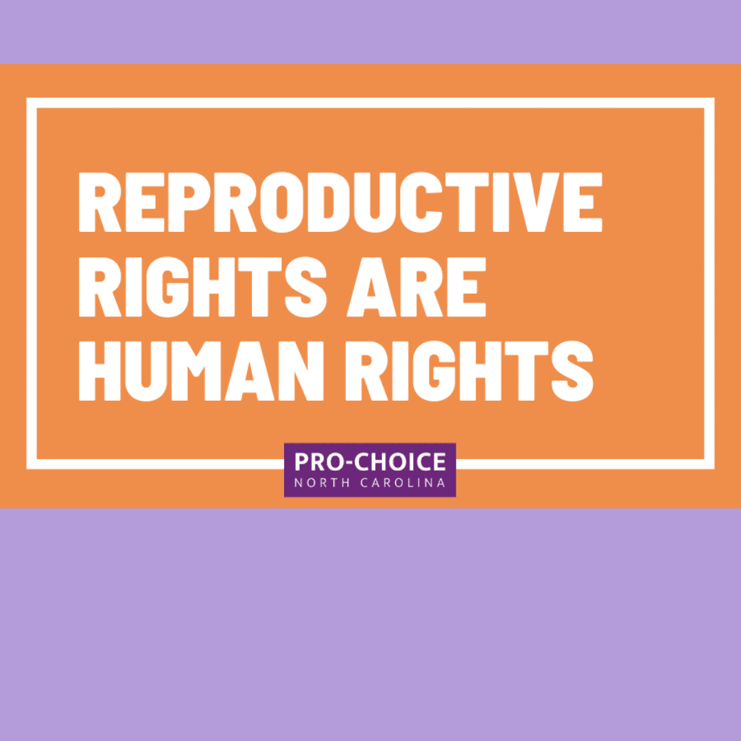 Untitled design-4 Untitled design-4